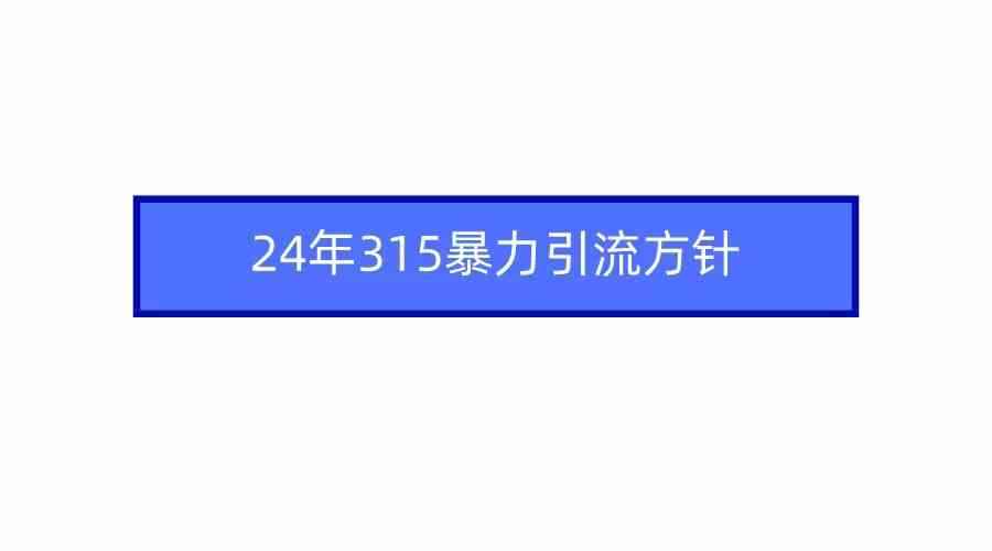 （9398期）2024年315暴力引流方针-咩咩网络