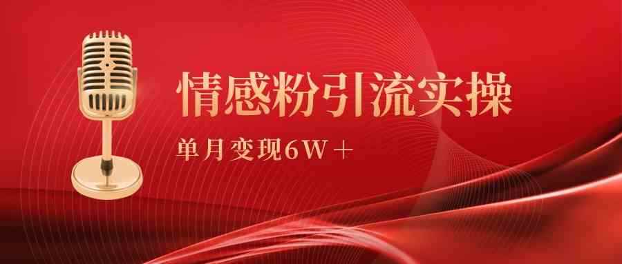 （9473期）单月变现6w+，情感粉引流变现实操课-咩咩网络