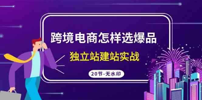 （9369期）跨境电商怎样选爆品，独立站建站实战（20节高清无水印课）-咩咩网络
