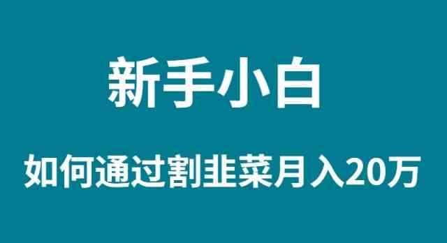 （9308期）新手小白如何通过割韭菜月入 20W-咩咩网络