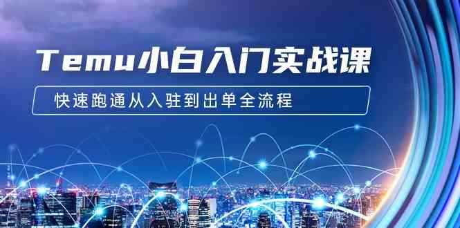 （9295期）Temu小白入门实战课：跨境拼多多电商培训 快速跑通从入驻到出单全流程-12节-咩咩网络