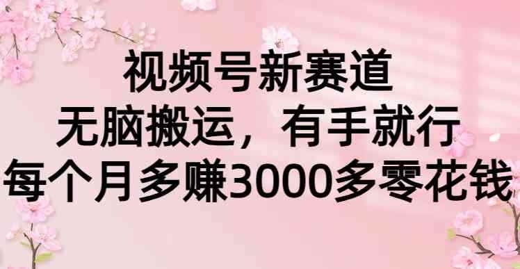 （9278期）视频号新赛道，无脑搬运，有手就行，每个月多赚3000多零花钱-咩咩网络