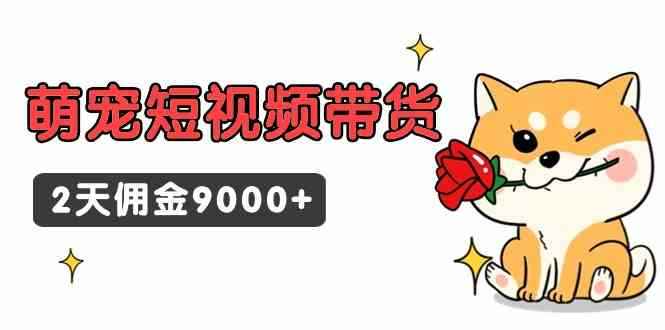 （9273期）东哲日记·萌宠短视频带货，2天佣金9000+-咩咩网络