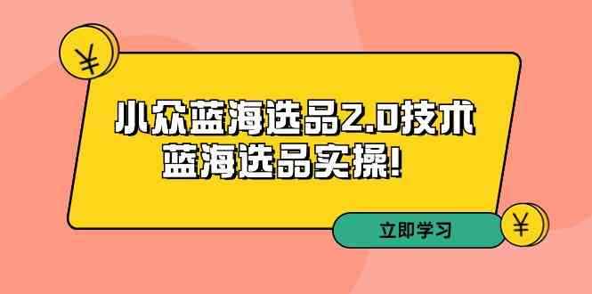 （9189期）拼多多培训第33期：小众蓝海选品2.0技术-蓝海选品实操！-咩咩网络