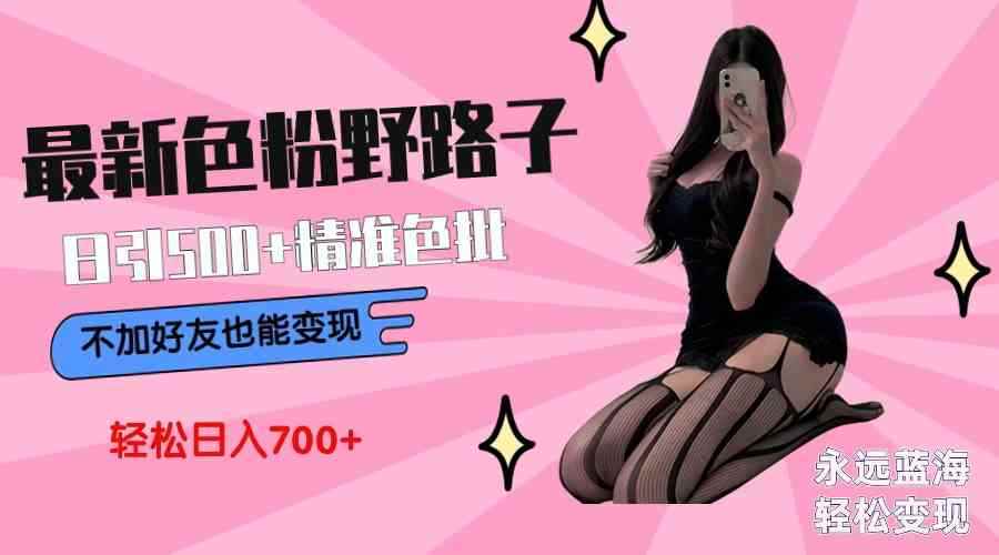 （9119期）最新色粉变现野路子，日引500+老色批 可不加好友直接变现 小白轻松日入700+-咩咩网络