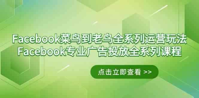 （9065期）Facebook-菜鸟到老鸟全系列运营玩法+Facebook-专业广告投放全系列课程-咩咩网络