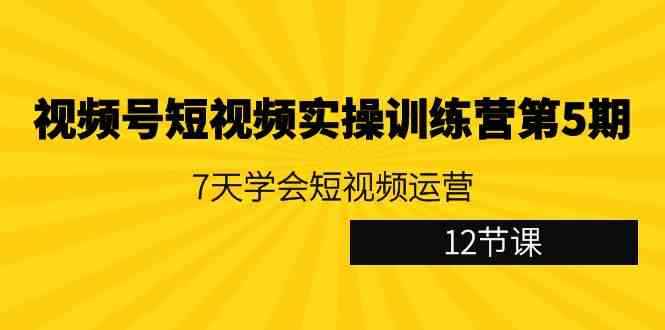 （9029期）视频号短视频实操训练营第5期：7天学会短视频运营（12节课）-咩咩网络