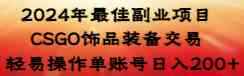 （8941期）2024年最佳副业项目 CSGO饰品装备交易 轻易操作单账号日入200+-咩咩网络