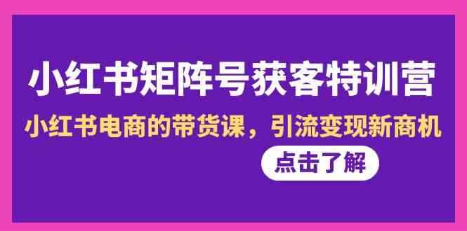 （8909期）小红书-矩阵号获客特训营-第10期，小红书电商的带货课，引流变现新商机-咩咩网络