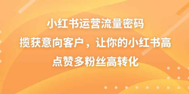 （8764期）小红书运营流量密码，揽获意向客户，让你的小红书高点赞多粉丝高转化-咩咩网络