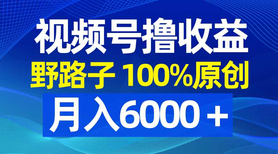 （8679期）视频号野路子撸收益，100%原创，条条爆款，月入6000＋-咩咩网络