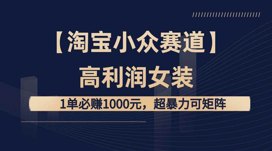 （8608期）【淘宝小众赛道】高利润女装：1单必赚1000元，超暴力可矩阵-咩咩网络