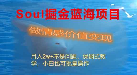 （8531期）Soul掘金蓝海项目细分赛道，做情感价值变现，月入2w+不是问题-咩咩网络