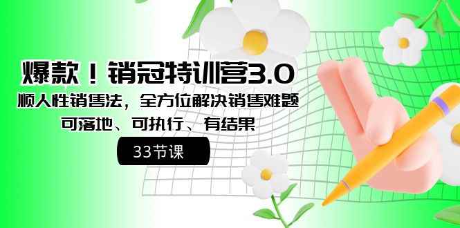 （8573期）爆款！销冠特训营3.0之顺人性销售法，全方位解决销售难题、可落地、可执…-咩咩网络