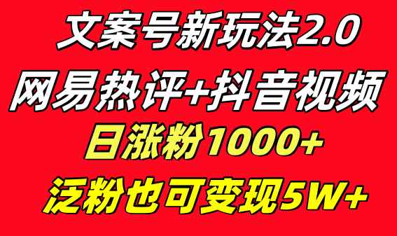 （8484期）文案号新玩法 网易热评+抖音文案 一天涨粉1000+ 多种变现模式 泛粉也可变现-咩咩网络