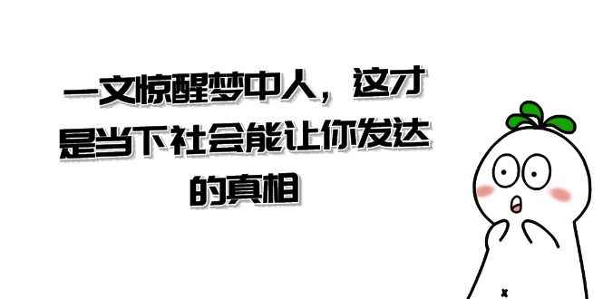 （8480期）某公众号付费文章《一文 惊醒梦中人，这才是当下社会能让你发达的真相》-咩咩网络