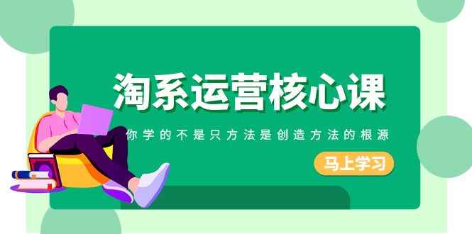 （8392期）淘系-运营核心课，你学的不是只方法是创造方法的根源（190节课）-咩咩网络