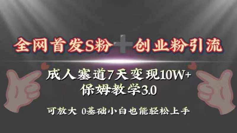 （8337期）全网首发s粉加创业粉引流变现，成人用品赛道7天变现10w+保姆教学3.0-咩咩网络