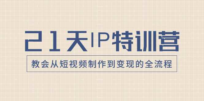 （8223期）21天IP特训营，教会从短视频制作到变现的全流程-咩咩网络
