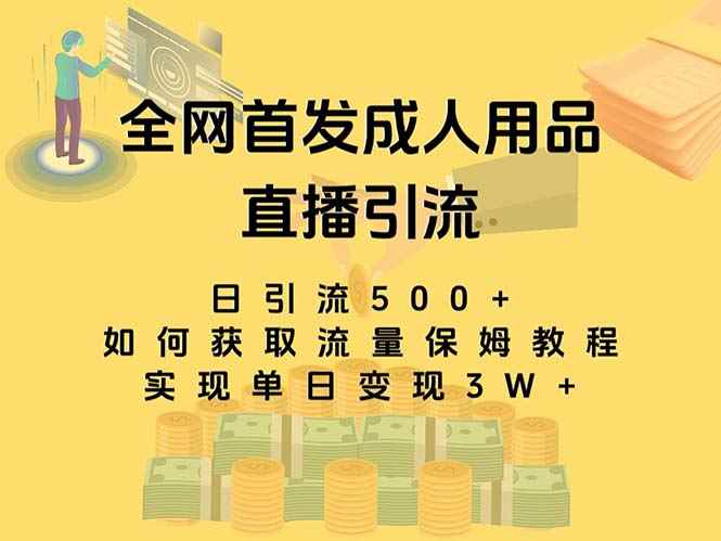 （8193期）最新全网独创首发，成人用品直播引流获客暴力玩法，单日变现3w保姆级教程-咩咩网络