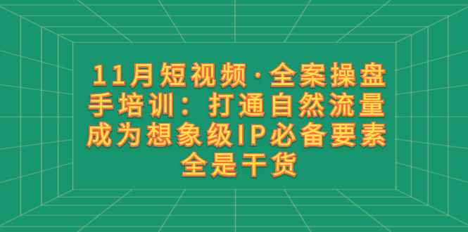 （8182期）11月短视频·全案操盘手培训：打通自然流量 成为想象级IP必备要素 全是干货-咩咩网络