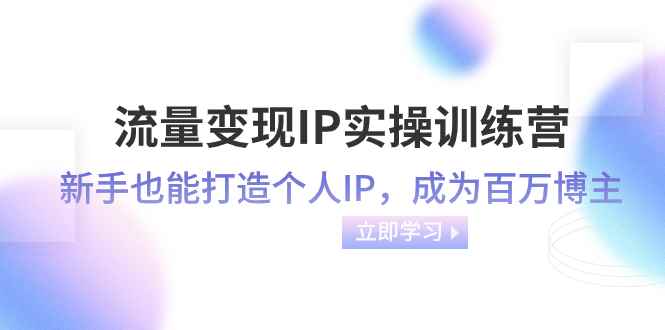 （8134期）流量变现-IP实操训练营：新手也能打造个人IP，成为百万 博主（46节课）-咩咩网络