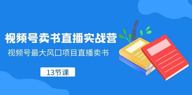 （8080期）视频号-卖书直播实战营，视频号最大风囗项目直播卖书（13节课）-咩咩网络