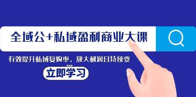 （8045期）全域公+私域盈利商业大课，有效提升私域复购率，放大利润且持续变现-咩咩网络