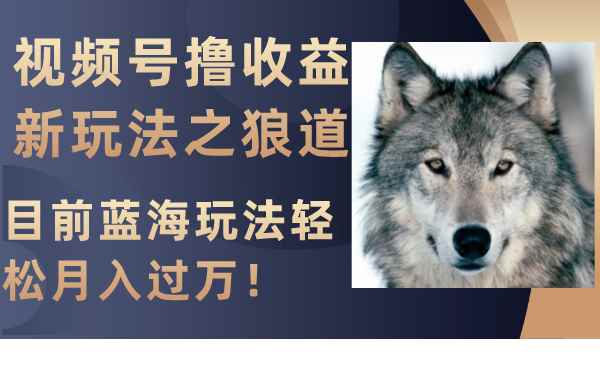 （8042期）视频号撸收益新玩法之狼道，目前蓝海玩法轻松月入过万！-咩咩网络