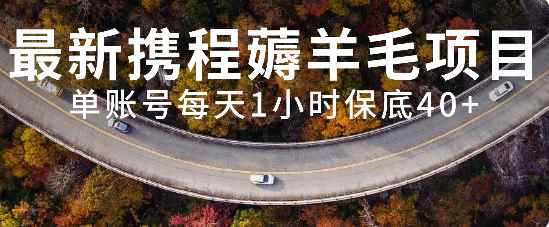 （7995期）最新携程薅羊毛项目，单账号每天1小时保底收益40+，可矩阵操作-咩咩网络