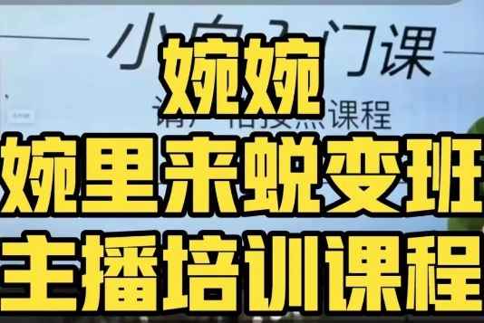 婉婉·婉里来蜕变班（主播课）全方位理解底层逻辑并灵活运用-咩咩网络