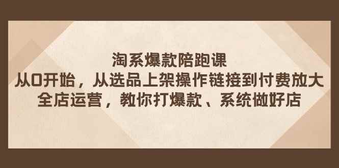 （7725期）淘系爆款陪跑课 从选品上架操作链接到付费放大 全店运营 打爆款 系统做好店-咩咩网络
