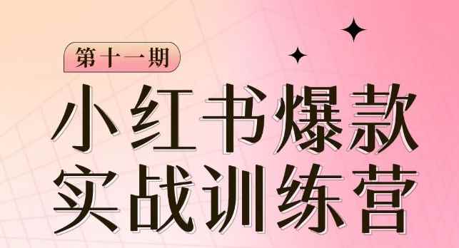 小红书博主爆款训练营第11期，手把手教你从0-1做小红书，从定位到起号到变现-咩咩网络