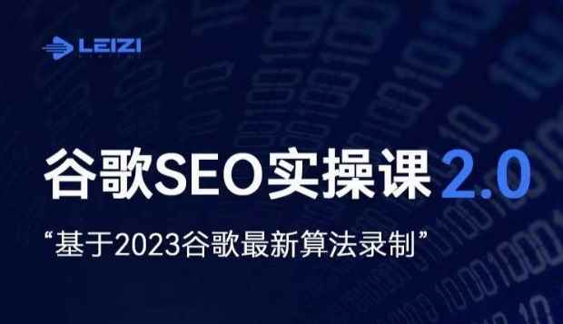 雷子·谷歌SEO 2.0实战课，独立站询盘自由必备，基于2023谷歌最新算法录制-咩咩网络