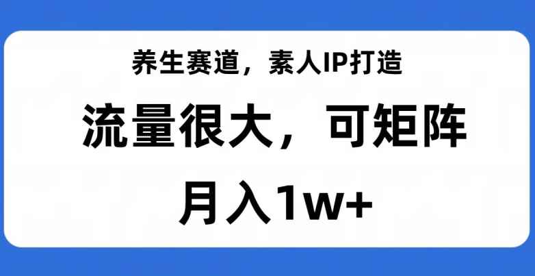 养生赛道，素人IP打造，流量很大，可矩阵，月入1w+【揭秘】-咩咩网络