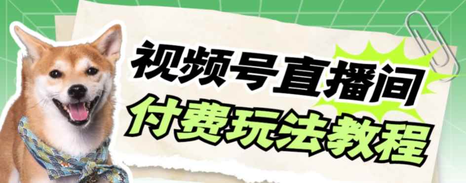 （7660期）视频号美女付费无人直播，轻松日入500+【详细玩法教程】-咩咩网络