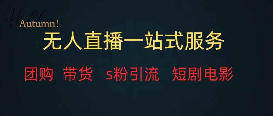 （7654期）无人直播全套服务，变现稳定-咩咩网络