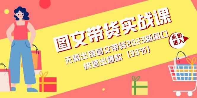 （7496期）图文带货实战课：无需出镜图文带货2023新风口，快速出爆款（33节）-咩咩网络
