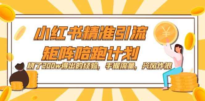 （7381期）小红书精准引流·矩阵陪跑计划：烧了200w得出的经验，手握流量，兴风作浪！-咩咩网络