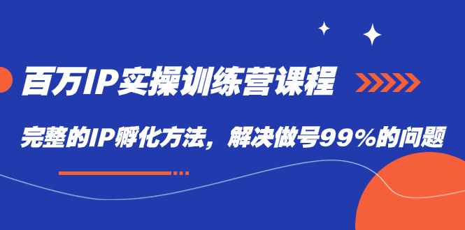（7354期）百万IP实战训练营课程，完整的IP孵化方法，解决做号99%的问题-咩咩网络