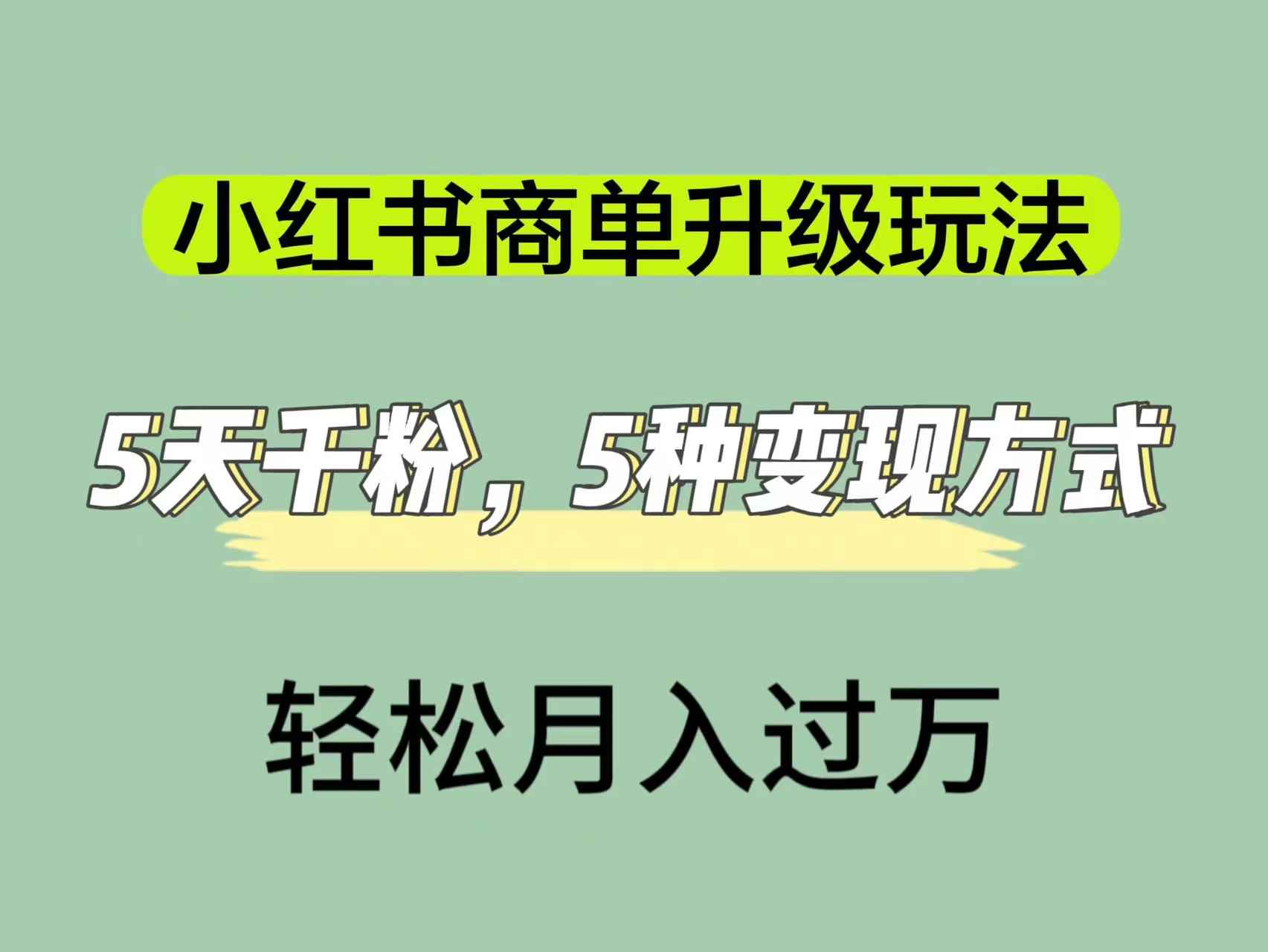 （7312期）小红书商单升级玩法，5天千粉，5种变现渠道，轻松月入1万+-咩咩网络