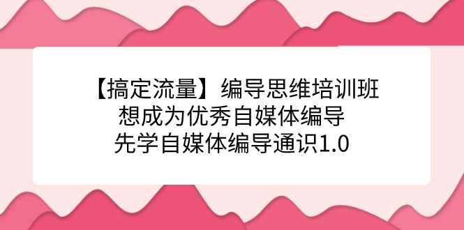 （7281期）【搞定流量】编导思维培训班，想成为优秀自媒体编导先学自媒体编导通识1.0-咩咩网络