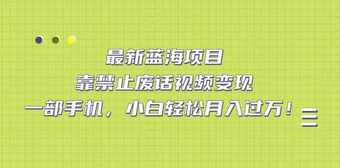 （7276期）最新蓝海项目，靠禁止废话视频变现，一部手机，小白轻松月入过万！-咩咩网络