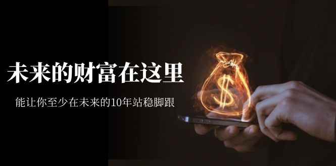 （7164期）某收费文章《未来的财富在这里》能让你至少在未来的10年站稳脚跟-咩咩网络