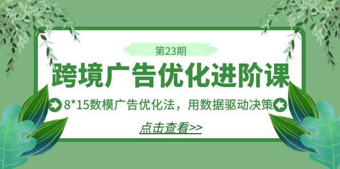 （7131期）跨境广告·优化进阶课·第23期，8*15数模广告优化法，用数据驱动决策-咩咩网络
