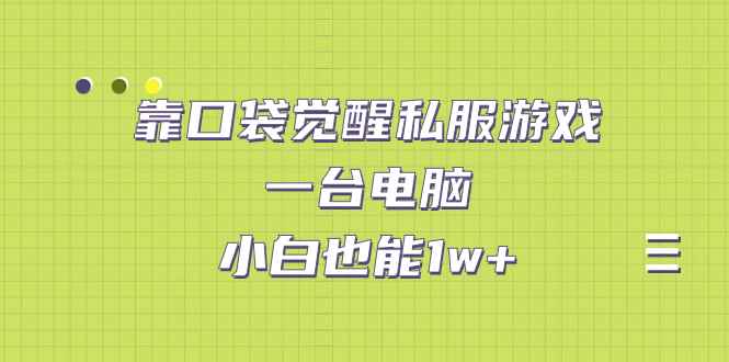 （7113期）靠口袋觉醒私服游戏，一台电脑，小白也能1w+（教程+工具+资料）-咩咩网络