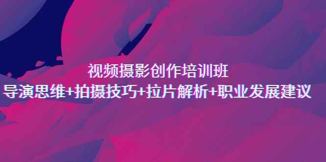 （7018期）视频摄影创作培训班，导演思维+拍摄技巧+拉片解析+职业发展建议-咩咩网络