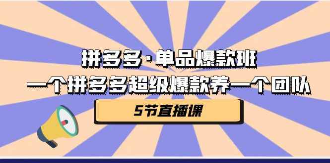 （7019期）拼多多·单品爆款班，一个拼多多超级爆款养一个团队（5节直播课）-咩咩网络