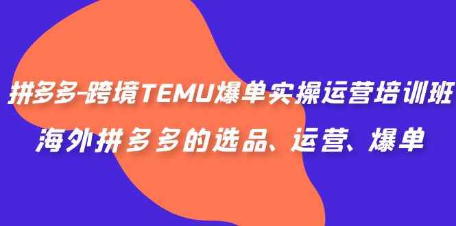 （6934期）拼多多-跨境TEMU爆单实操运营培训班，海外拼多多的选品、运营、爆单-咩咩网络