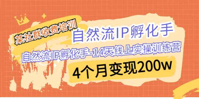 （6924期）某社群收费培训：自然流IP 孵化手-14天线上实操训练营 4个月变现200w-咩咩网络